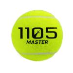 Master - Imagen 2
