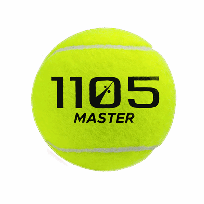 Master - Imagen 2